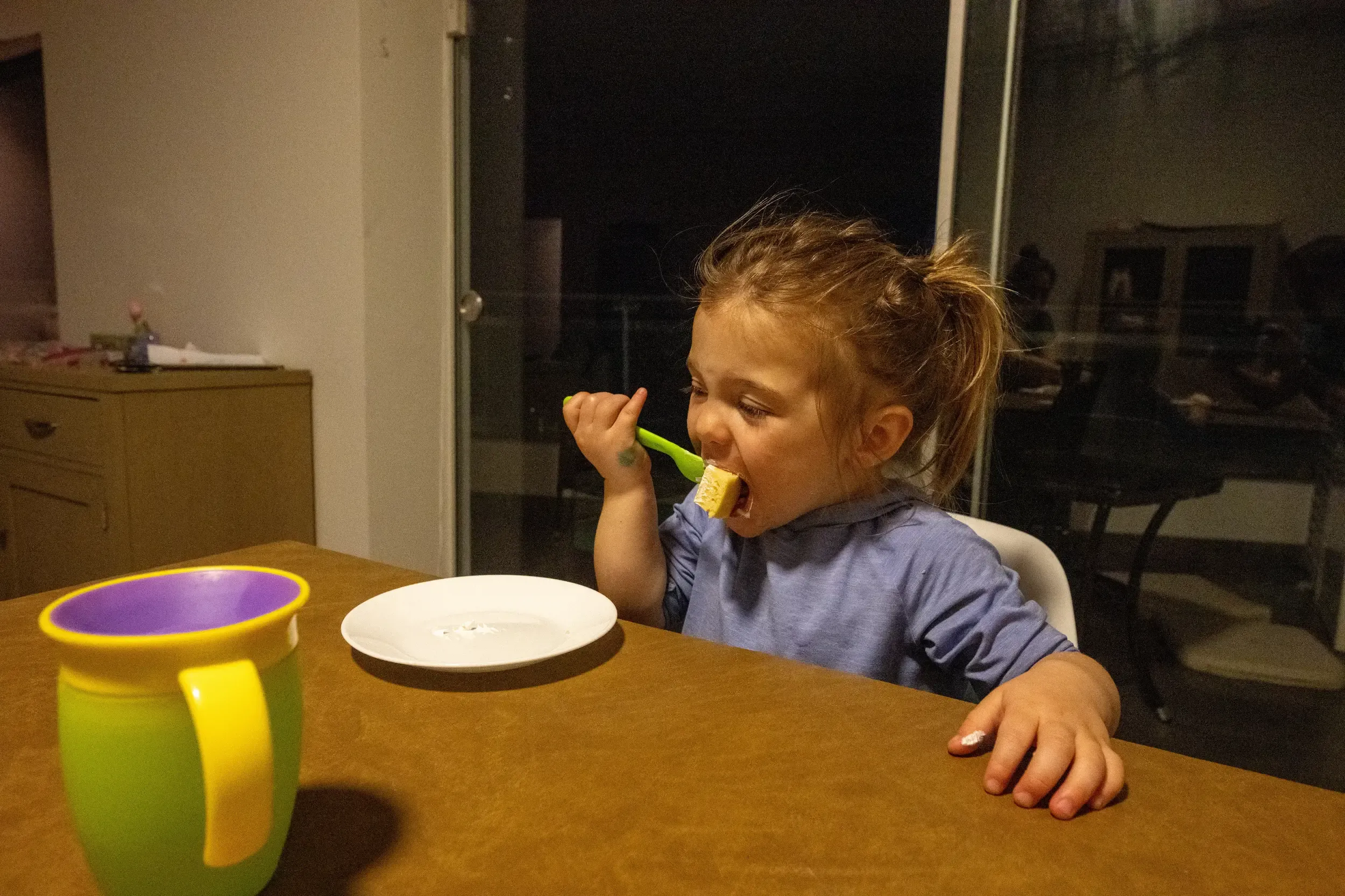 Sonja preferred the chocolate cake, but the lemon pie wasn't so bad either